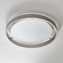 Paul Neuhaus Q-VITO LED-loftlampe 59 cm stål