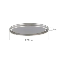Paul Neuhaus Q-VITO LED-loftslampe 79 cm stål