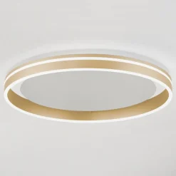 Paul Neuhaus Q-VITO LED-loftslampe, Ø 60 cm