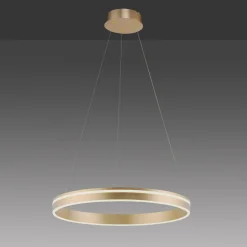Paul Neuhaus Q-VITO LED-pendellampe, 1 ring