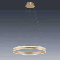 Paul Neuhaus Q-VITO LED-pendellampe, 1 ring
