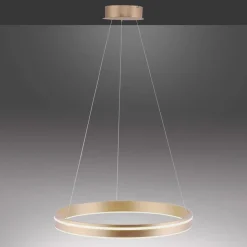 Paul Neuhaus Q-VITO LED-pendellampe, 1 ring