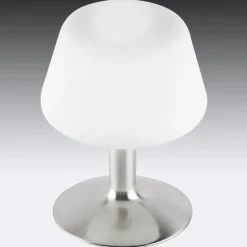 Paul Neuhaus Till bordlampe, stålfarvet, glas, dæmpbar