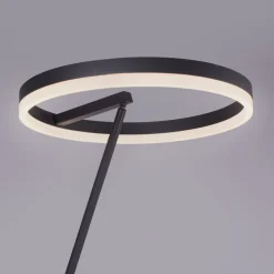 Paul Neuhaus Titus LED-gulvlampe antracit dæmper