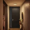 Philips Hue Enrave LED-loftslampe 26,1 cm hvid