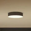 Philips Hue Enrave LED-loftslampe 26,1 cm sort