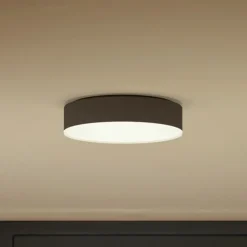 Philips Hue Enrave LED-loftslampe 26,1 cm sort