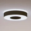 Philips Hue Infuse LED-loftslampe, 38,1 cm, sort, dæmpbar.