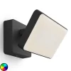 Philips Hue White+Color Discover LED-udendørsspot