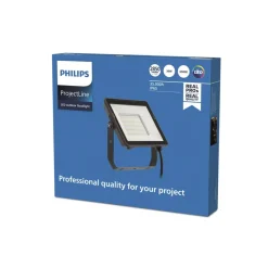 Philips ProjectLine udendørs LED-spot 6.500K 30W