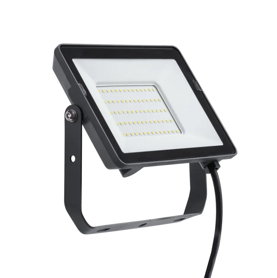 Philips ProjectLine udendørs spotlampe Sensor 3000K 50W
