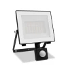 Philips udendørs LED-spot Lois UE Sensor, 14 W, 5.000 K IP65