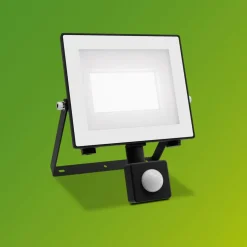 Philips udendørs LED-spot Lois UE Sensor, 14 W, 5.000 K IP65