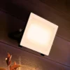 Philips udendørs LED-spot Lois UE flood, 24 W, 3.000 K, IP65