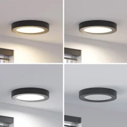 Prios LED-loftlampe Edwina, sort, 23 cm, CCT, IP44