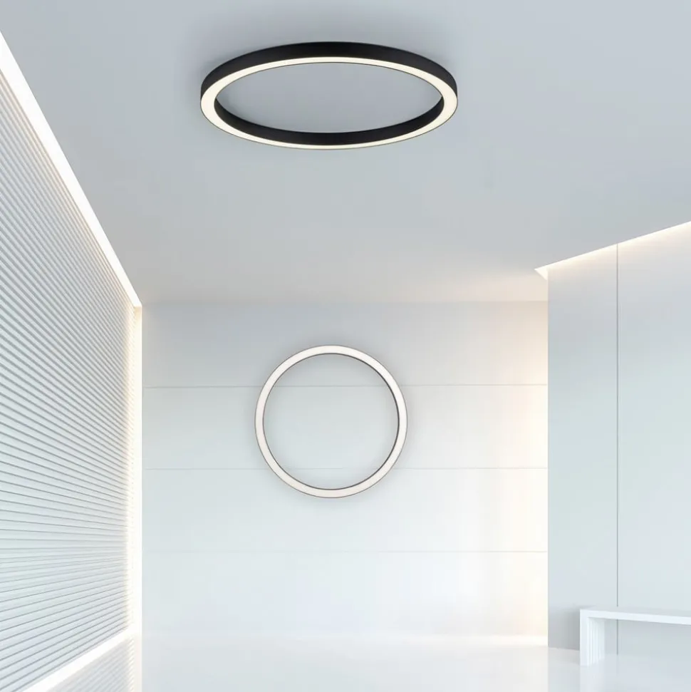 PURE LED-loftlampe Lines, Ø 70 cm, antracit, CCT, fjernbetjening