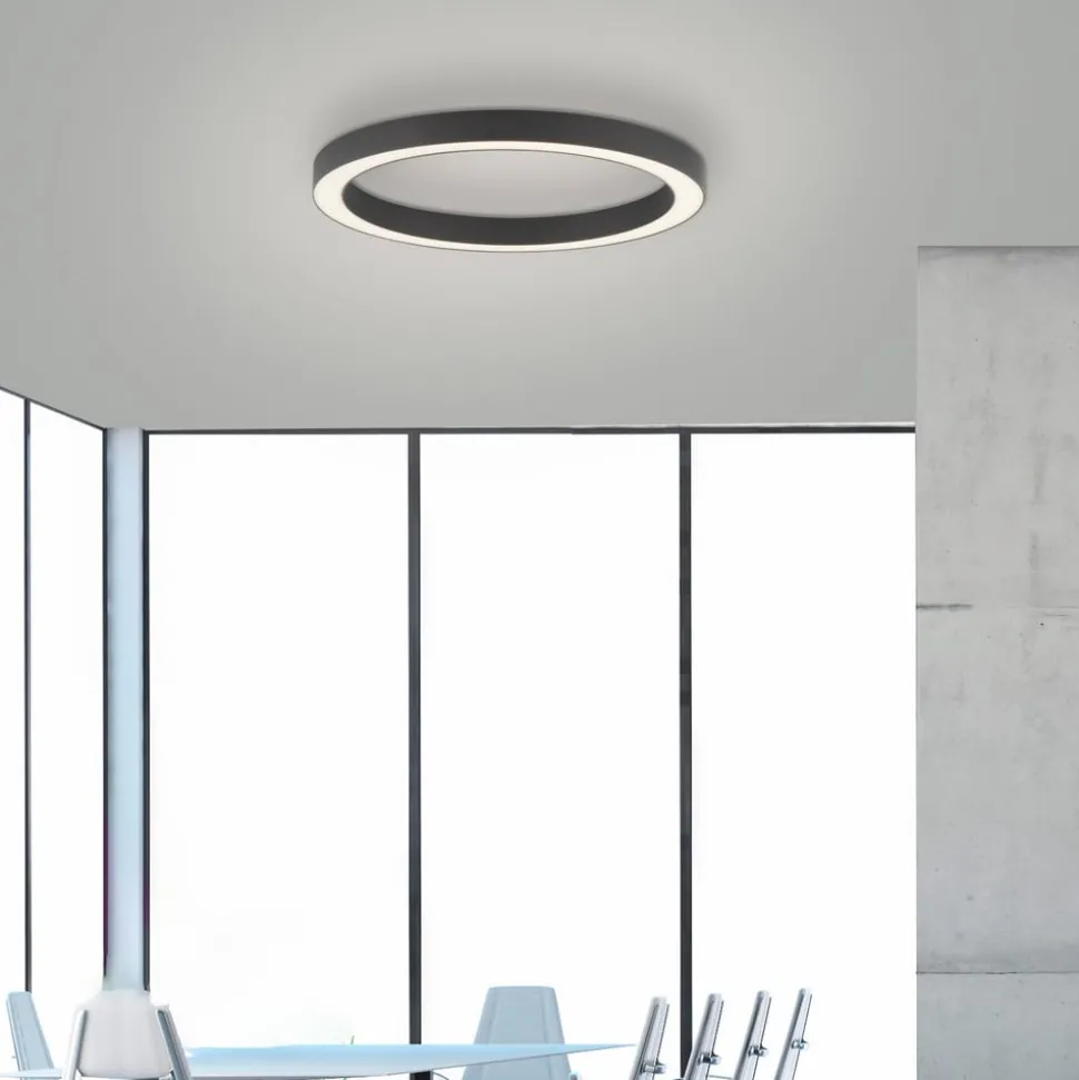 PURE LED-loftlampe Lines, Ø 50 cm, antracit, CCT, fjernbetjening