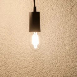 SEGULA Tube LED-pære E27 8 W 2.700 K klar, dæmpes