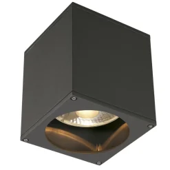 SLV Big Theo udendørs loftslampe, antracit