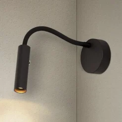 SLV Karpo Goose LED-væglampe, dæmpbar, sort