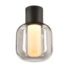 SLV Ovalisk LED udendørs loftslampe CCT