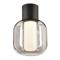 SLV Ovalisk LED udendørs loftslampe CCT