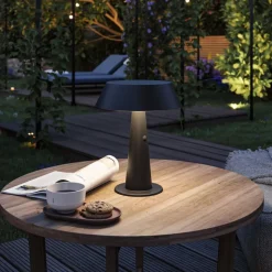 Soala Solcelle Lampe Anthracite - Paulmann