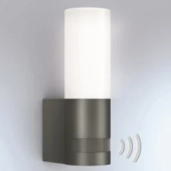 STEINEL L 605 S udendørs LED-væglampe, sensor IP44