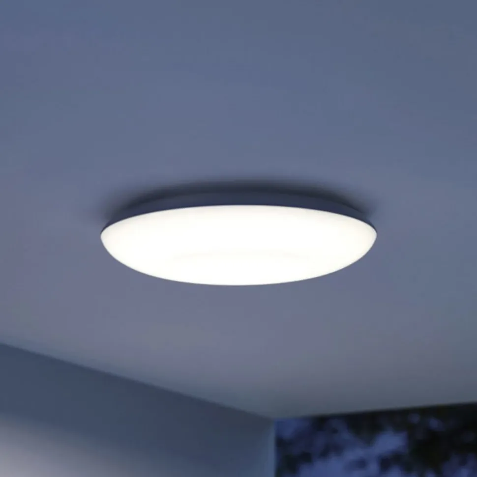 STEINEL Vario Quattro Pro loftlampe, hvid 3.000 K