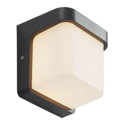 Udendørs LED-væglampe Adenike uden sensor