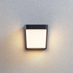 Udendørs LED-væglampe Adenike uden sensor