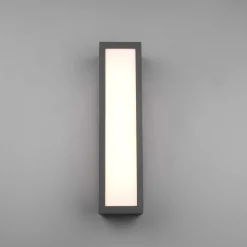 Udendørs LED-væglampe Fuerte, antracit, aluminium, IP54