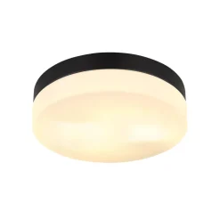 Udendørs loftslampe Vranos, mat sort, Ø 24 cm, aluminium