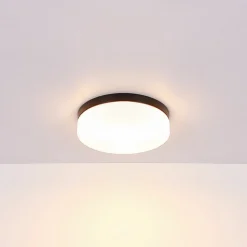 Udendørs loftslampe Vranos, mat sort, Ø 24 cm, aluminium