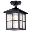 Winchester BL18A udendørs loftlampe