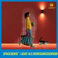WiZ A60 LED-filamentpære WiFi E27 6,3 W RGBW