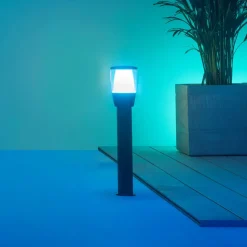 WiZ Elpas LED-gadelampe sort RGBW udvidelse