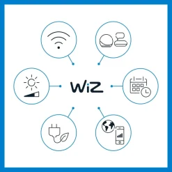 WiZ LED-spot Ground udvidelse, enkeltpakke